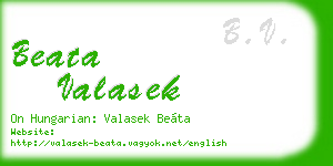 beata valasek business card